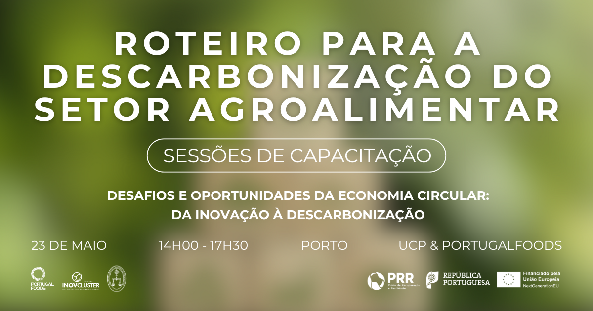 Desafios e Oportunidades da Economia Circular: Da Inovação à Descarbonização