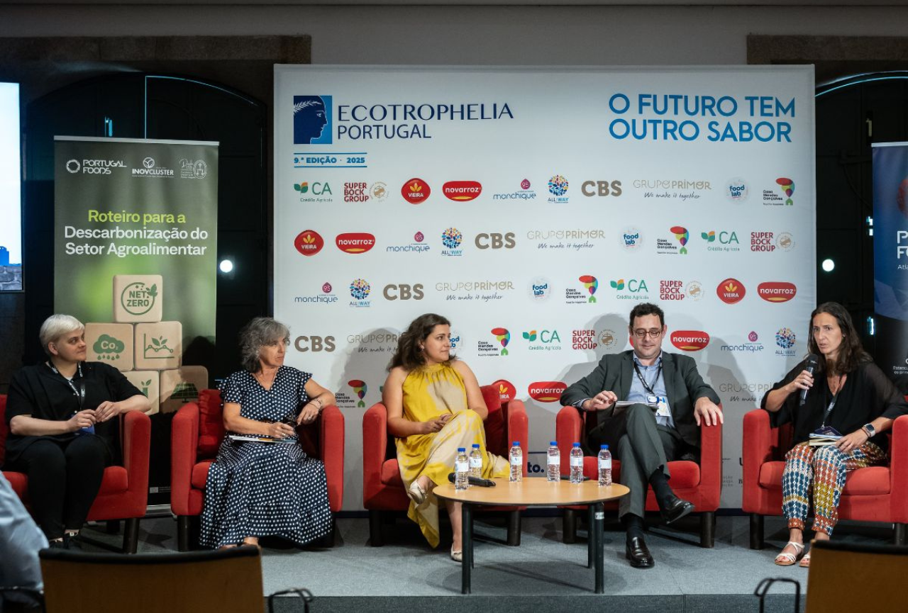 Apresentação do Roteiro para a Descarbonização do Se...